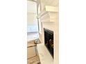 Detailed view of a sophisticated fireplace mantel with wood burning insert and trim at 168 Clayton Rd, Princeton, NC 27569