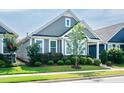 Charming home with manicured lawn, inviting front entrance, and gray horizontal siding at 209 Stone River Dr, Wendell, NC 27591