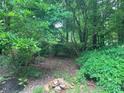Lush, green backyard featuring mature trees and garden area at 3833 Hidden Branches Dr, Raleigh, NC 27613