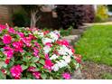 Landscaping featuring colorful flowers next to a low retaining wall and healthy green grass at 200 Holly Branch Dr, Holly Springs, NC 27540