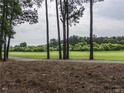 Exterior shot of yard and greenspace with mature trees behind the property at 1911 Kudrow Ln, Morrisville, NC 27560