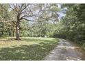 View of gravel driveway, large mature trees and manicured lawn at 3679 Oak Lawn Farm Rd, Oxford, NC 27565