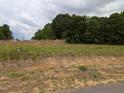 Spacious plot of land with lush greenery and potential for development or recreation at 425 Sweet Potato Lane # 14, Nashville, NC 27856