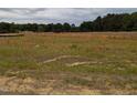 Large lot ready for building, surrounded by mature trees at 511 Sweet Potato Lane # 10, Nashville, NC 27856