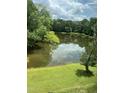 Scenic view of a tranquil pond surrounded by lush greenery, offering a serene natural escape at 3204 Overlook Ct, Burlington, NC 27215