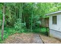 Lush backyard featuring bamboo, partial fencing, and access to a wood deck at 1907 Bivins St, Durham, NC 27707