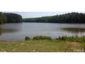Scenic lake view with serene waters and lush green surroundings at 713 Traditions Grande Blvd, Wake Forest, NC 27587