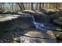 Scenic shot of a natural waterfall feature surrounded by moss-covered rocks and lush greenery at 1117 Dartford Green Pl, Wake Forest, NC 27587