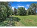 Expansive, lush green yard, featuring mature trees, offering privacy and a tranquil setting at 705 Wilsons Mills Rd, Smithfield, NC 27577