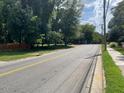 A road surrounded by lush greenery and trees, showcasing the neighborhood's peaceful environment at 906 Camden Ave, Durham, NC 27701