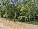 Wooded lot with mature trees, offering privacy and a serene natural setting for your dream home at 6736 Brixley Crest Ct, Raleigh, NC 27614