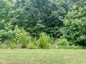 View of the spacious backyard with mature trees that enhance the appeal of the property at 857 Stable Fern Dr, Fuquay Varina, NC 27526