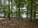 A view shows the backyard with trees, greenery, and a glimpse of the lake at 2011 Bowmantown Rd, Roxboro, NC 27574