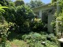 Backyard features mature foliage and landscaping around the property at 1800 Avondale Dr, Durham, NC 27701
