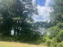 Scenic lake view framed by mature trees, showcasing the tranquil and natural surroundings at 2053 Thornblade Dr, Raleigh, NC 27604