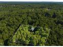 Expansive wooded lot perfect for privacy and nature, ideal for building a dream home at 10836 Wilmore Dr, Raleigh, NC 27614