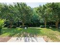 Serene community green space featuring mature trees and well-maintained landscaping, perfect for relaxation and recreation at 238 Royal Tower Way, Cary, NC 27513