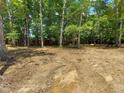 View of a wooded lot being prepped for future home construction at 8916 Thompson Mill Rd, Wake Forest, NC 27587