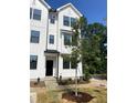 New construction home featuring white siding, black trim, and landscaping at 3113 White Blossom Ct, Raleigh, NC 27610