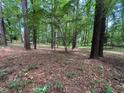 Wooded backyard with mature trees and natural ground cover, offering a serene and private setting at 81106 Alexander, Chapel Hill, NC 27517