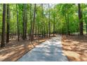 Scenic walking path through a lush forest with tall trees and greenery at 4905 Ivercroft Pl, Fuquay Varina, NC 27526