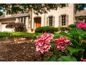 Landscaped front yard with blooming pink hydrangeas adding color to the home's exterior at 429 Carolina Cir, Durham, NC 27707