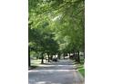 Street view with lush green trees lining the road, providing a serene and shaded environment at 221 Grantwood Dr, Holly Springs, NC 27540