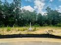 Vacant lot available with sign indicating it is for sale, surrounded by trees and vegetation at 346 New Twin Branch Ct, Smithfield, NC 27577