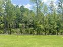 View of the lush green backyard with a black metal fence and mature trees in the background at 817 Kensley Grove Ln # 16, Fuquay Varina, NC 27526