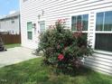 Exterior rear view of home showing the siding, manicured lawn, and rose bushes at 124 Richmond Run, Stem, NC 27581