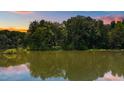 Scenic lake view surrounded by lush greenery, reflecting a tranquil sunset sky at 4070 Swannie Coble Rd, Snow Camp, NC 27349