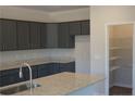 Modern kitchen boasts granite countertops, stainless steel sink, and ample gray cabinetry with a pantry at 174 Nectar Ln, Bunnlevel, NC 28323