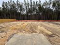 Cleared lot ready for new construction, surrounded by trees at 283 Rocking Horse Ln, Sanford, NC 27332