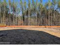 Cleared lot with orange construction fencing, ready for new home construction at 283 Rocking Horse Ln, Sanford, NC 27332