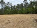 Large backyard with bare, dry lawn, surrounded by mature trees in the background at 122 Horse Trot Ln, Sanford, NC 27332