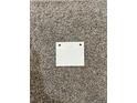 Close up shot of gray carpet with white paint sample at 265 Harborwood St, Lillington, NC 27546