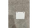 Close-up of carpet featuring a paint swatch card from Sherwin Williams in City Loft at 293 Harborwood St, Lillington, NC 27546