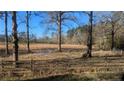 Spacious backyard with mature trees and wooden fence, offering a serene and private setting at 2957 Cypress Church Rd, Cameron, NC 28326