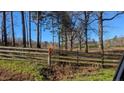 View of backyard featuring a wooden fence in a rural setting at 2957 Cypress Church Rd, Cameron, NC 28326
