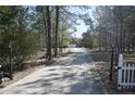 Long driveway leading to the house, surrounded by lush trees providing privacy at 42 Twin Ponds Rd, Sanford, NC 27332