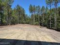 Picture of the backyard featuring flat, cleared ground at 28 Horse Trot Ln, Sanford, NC 27332