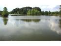 Scenic view of a serene pond reflecting the sky and surrounded by lush greenery at 1445 Bethel Baptist Rd, Spring Lake, NC 28390