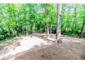 A spacious backyard with lush green trees at 3224 Green Valley Dr, Sanford, NC 27330