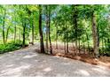 A long gravel driveway is surrounded by lush green trees at 3224 Green Valley Dr, Sanford, NC 27330