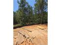 A home backyard featuring a serene wooded backdrop and spacious lot at 214 Uwharrie Way, Sanford, NC 27330