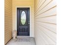 Elegant front door with decorative glass, complemented by sidelight, and a welcoming door mat at 95 Taft Ln, Cameron, NC 28326