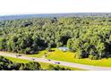 Long aerial view of the home with blue roof situated amongst lush trees along the highway at 2708 Nc 87 S Hwy, Cameron, NC 28326