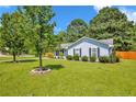 Well manicured lawn surrounds a charming single story home, featuring mature trees and manicured shrubbery at 114 Gum Rd, Dunn, NC 28334