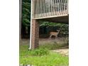 Backyard view of a deer near the wooden deck and support beams at 1397 Colorado Trl, Sanford, NC 27332