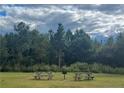 Tranquil picnic area with two picnic tables surrounded by lush greenery and towering trees at 73 Pine Vista Way, Sanford, NC 27332